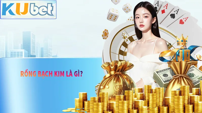 Tìm hiểu ngay Rồng Bạch Kim là gì cùng KUDV